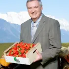 Unternehmen 3 Bild ISCHIA - JOHANN ISCHIA & CO IM- U EXPORTGESMBH & CO.KG Obst, Gemüse Einzelhandel am Innsbruck 7