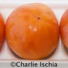 Unternehmen 5 Bild ISCHIA - JOHANN ISCHIA & CO IM- U EXPORTGESMBH & CO.KG Obst, Gemüse Einzelhandel am Innsbruck 7