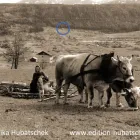 Unternehmen 3 Bild KAINDL COMPUTER WATRONIC-REPARATUREN SERVICE VERKAUF Edv-Beratungsunternehmen am Innsbruck 7