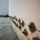 Unternehmen 8 Bild KELLERINJEKTION - KELLER ABDICHTEN OHNE AUFGRABEN Bautenschutz am Wien 9