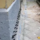 Unternehmen 11 Bild KELLERINJEKTION - KELLER ABDICHTEN OHNE AUFGRABEN Bautenschutz am Wien 9