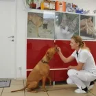 Unternehmen 3 Bild KLEINTIER- UND PFERDEPRAXIS DR. INGRID SCHMIDBURG Ärzte am Stainz 6