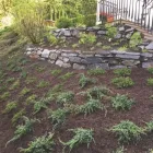 Unternehmen 3 Bild LB GARTENGESTALTUNG OG Verleihunternehmen, Vermietungsunternehmen, Vermittlungsunternehmen am Hall In Tirol 7