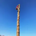Unternehmen 1 Bild LB GARTENGESTALTUNG OG Verleihunternehmen, Vermietungsunternehmen, Vermittlungsunternehmen am Hall In Tirol 7