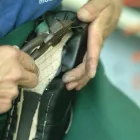 Unternehmen 15 Bild LEEB SCHUHE & ORTHOPÄDIE - OST HASELSTEINER GMBH Textil/Bekleidung am Sankt Pölten 3