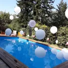 Unternehmen 3 Bild LUFTBALLONWELT.AT Partyservice am Wien 9