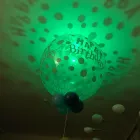 Unternehmen 4 Bild LUFTBALLONWELT.AT Partyservice am Wien 9