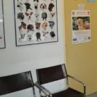 Unternehmen 2 Bild MAG. MATTHIAS WEBER Ärzte am Stainz 6