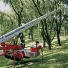 Unternehmen 1 Bild MALTECH ARBEITSBÜHNEN GMBH Gerüstbauer, Gerüstverleih am Ansfelden 4