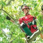 Unternehmen 6 Bild MASCHINENRING AMEISBERG-GROßE MÜHL Tankstellen am Rohrbach-Berg 4