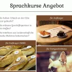 Unternehmen 4 Bild MAXENCE TEP - FRANZÖSISCH NACHHILFE UND SPRACHKURSE Sprachschulen, Fremdspracheninstitute am Wien 9