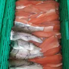 Unternehmen 1 Bild MAYER NINO - NINO'S LÄNDLEFISCH Nahrungs-/Genussmittel am Dornbirn 8