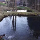 Unternehmen 2 Bild MAYER NINO - NINO'S LÄNDLEFISCH Nahrungs-/Genussmittel am Dornbirn 8
