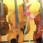 Unternehmen 1 Bild MUSIKHAUS NEDWED GEIGENBAU Musikinstrumente Einzelhandel am Graz 6
