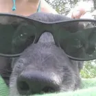 Unternehmen 4 Bild MYOPTIC BY MICHAEL NADER Optiker am Wien 9