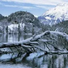 Unternehmen 2 Bild NATURPARK ÖTZTAL Kunst/Kultur/Unterhaltung/Musik am Längenfeld 7