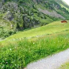 Unternehmen 10 Bild NATURPARK ÖTZTAL Kunst/Kultur/Unterhaltung/Musik am Längenfeld 7