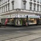 Unternehmen 1 Bild PASST! GESUND-SCHUH BOUTIQUE WIEN Textil/Bekleidung am Wien 9