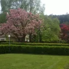 Unternehmen 3 Bild PFEIFER DIENSTLEISTUNGEN - RASEN-GARTENSERVICE-WINTERDIENST Land-/Forstwirtschaft/Fischerei am Tobisegg 6