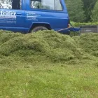 Unternehmen 4 Bild PFEIFER DIENSTLEISTUNGEN - RASEN-GARTENSERVICE-WINTERDIENST Land-/Forstwirtschaft/Fischerei am Tobisegg 6