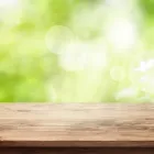 Unternehmen 8 Bild SCHIEFE HÜTT'N Hotel-/Gastronomiegewerbe am Graz 6