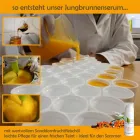 Unternehmen 3 Bild SEEWINKLER NATURKOSMETIK - KRISMAR OG Parfümerien am Wallern Im Burgenland 1