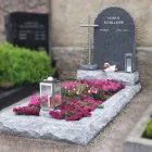 Unternehmen 21 Bild STEINKULTUR GSCHWINDL & ZIMMERMANN Maurerarbeiten am Sankt Pölten 3