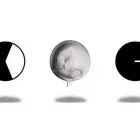 Unternehmen 1 Bild STEINMAYR & CO INSURANCE BROKERS GMBH Versicherungswesen am Innsbruck 7