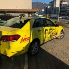 Unternehmen 3 Bild TAXI 9011 - TAXI SCHNEEWEISS GMBH Verleihunternehmen, Vermietungsunternehmen, Vermittlungsunternehmen am Dornbirn 8