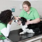 Unternehmen 3 Bild TIERARZTPRAXIS GRISSMANN Ärzte am Hall In Tirol 7