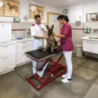 Unternehmen 1 Bild TIERARZTPRAXIS ZELL WETSCHER A. & P. RIESER Ärzte am Zell Am Ziller 7