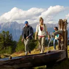 Unternehmen 14 Bild TOURISMUSVERBAND REGION HALL-WATTENS Transport/Verkehr/Tourismus am Hall In Tirol 7