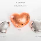 Unternehmen 6 Bild WIENER TIERKREMATORIUM GESMBH Ämter/Behörden/Gerichte am Wien 9