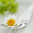 Unternehmen 2 Bild WILFINGER BIO THERMEN HOTEL Ärzte am Bad Waltersdorf 6