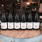 Unternehmen 7 Bild WINEDOBONA - GARDE BLANCHE WEINHANDLUNG Weinstuben am Wien 9