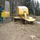 Unternehmen 2 Bild WURZELTONI - TONIS DIENSTLEISTUNGEN Land-/Forstwirtschaft/Fischerei am Graz 6