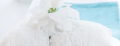 Unternehmen 11 Bild ATELIER WEIGAND Produktion und Vertrieb von Kosmetik, Körperpflegeartikel am Innsbruck 7