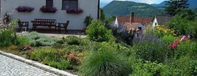Unternehmen 4 Bild BAUMSCHULE CADA - MAGDALENA CADA Land-/Forstwirtschaft/Fischerei am Enzenreith 3