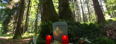 Unternehmen 3 Bild BESTATTUNG HIMMELBLAU GMBH Soziale Einrichtungen/Fürsorge am Wien 9