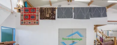 Unternehmen 3 Bild BIO TEPPICHREINIGUNG WIEN Wäschereien am Vienna 9