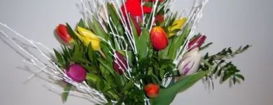 Unternehmen 3 Bild BLUMEN CLAUDIA Garten/Pflanzen am Wien 9