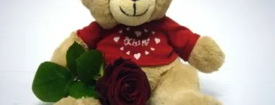 Unternehmen 5 Bild BLUMEN CLAUDIA Garten/Pflanzen am Wien 9