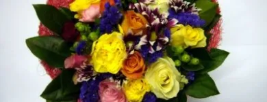 Unternehmen 1 Bild BLUMEN CLAUDIA Garten/Pflanzen am Wien 9