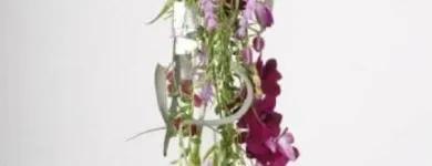 Unternehmen 1 Bild BLUMEN STIEBER Land-/Forstwirtschaft/Fischerei am Wien 9