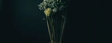 Unternehmen 4 Bild DB - DIE BLUMENBINDEREI Garten/Pflanzen am Graz 6