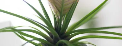 Unternehmen 18 Bild EDELWEISS DIGITAL GMBH Werbewirtschaft/Verkaufsförderung am Innsbruck 7