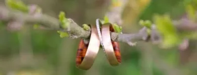 Unternehmen 6 Bild FEINHEIT GOLDSCHMIEDE Schmuck/Uhren/Edelmetallwaren am Weinitzen 6