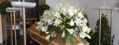 Unternehmen 3 Bild GARTENBAU DINER E.U. Gartengestalter am Wien 9