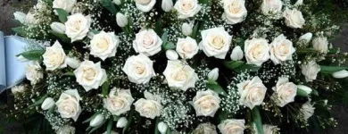 Unternehmen 4 Bild GARTENBAU DINER E.U. Gartengestalter am Wien 9