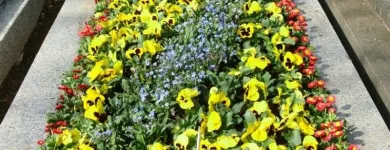 Unternehmen 6 Bild GARTENBAU DINER E.U. Gartengestalter am Wien 9